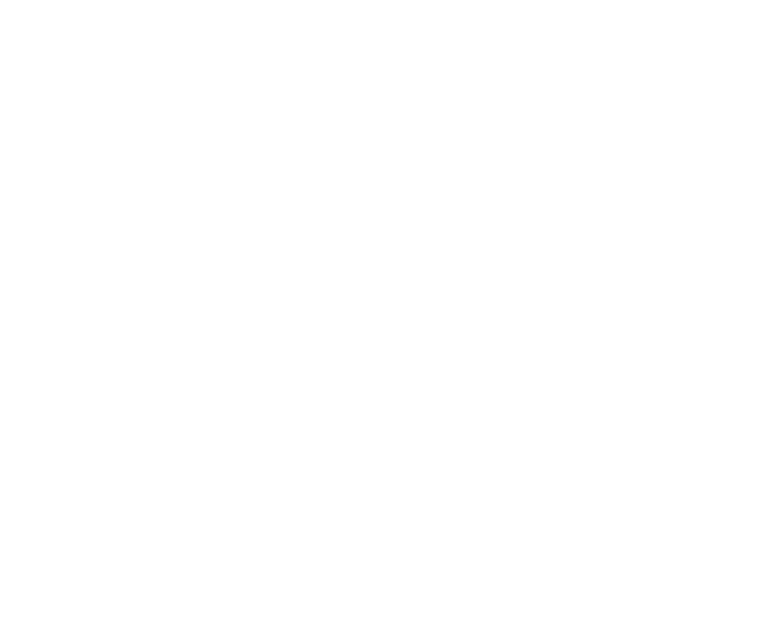 Linex Soft Logo